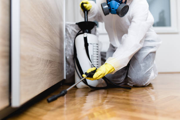Best Insect Control  in Laguna Heights, TX