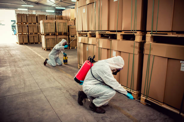 Best Affordable Pest Control Services  in Laguna Heights, TX
