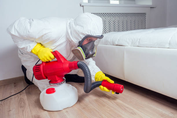 Best Wasp Removal Services  in Laguna Heights, TX