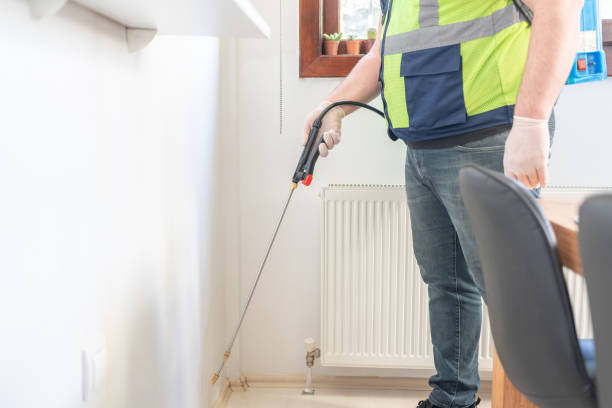 Best Flea Control Services  in Laguna Heights, TX