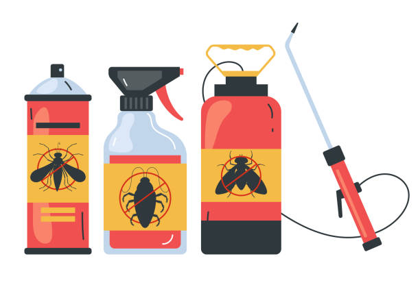 Best Exterminator Services  in Laguna Heights, TX