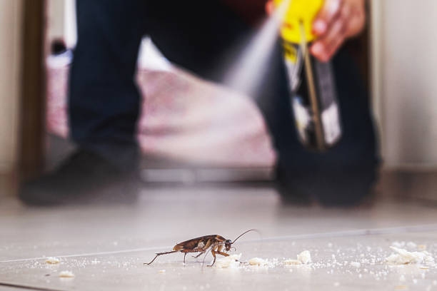 Trusted Laguna Heights, TX Pest Control Experts